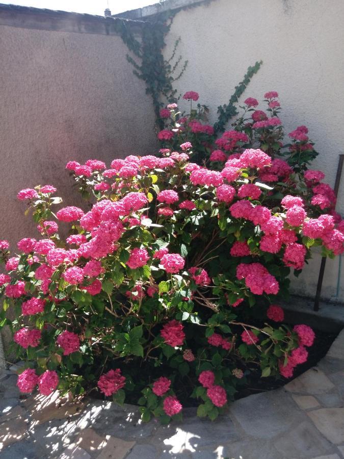 Gite Ozoo Saint-Aignan  Exterior foto